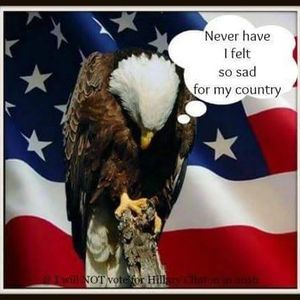 Meet your Posher, Pat